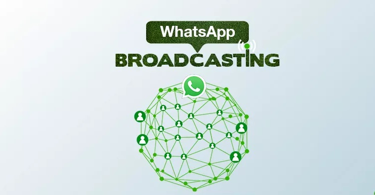 استفاده از قابلیت Broadcast در واتساپ بیزینس